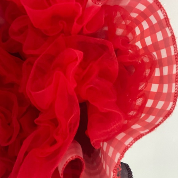 Teen/Adult Western Costume Dress with Red Cowgirl Hat - Picture 3 of 5